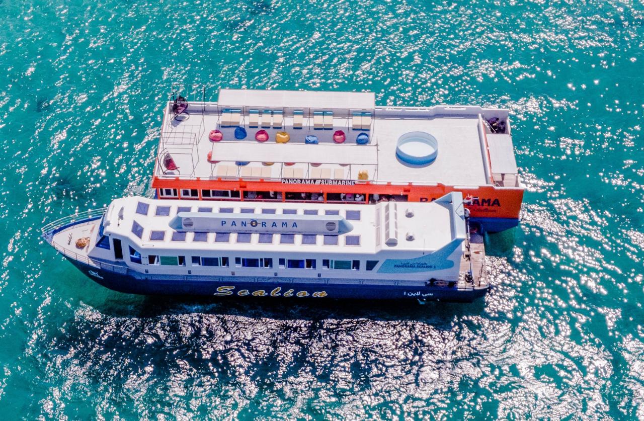 Sea Scope tour From Elgouna 