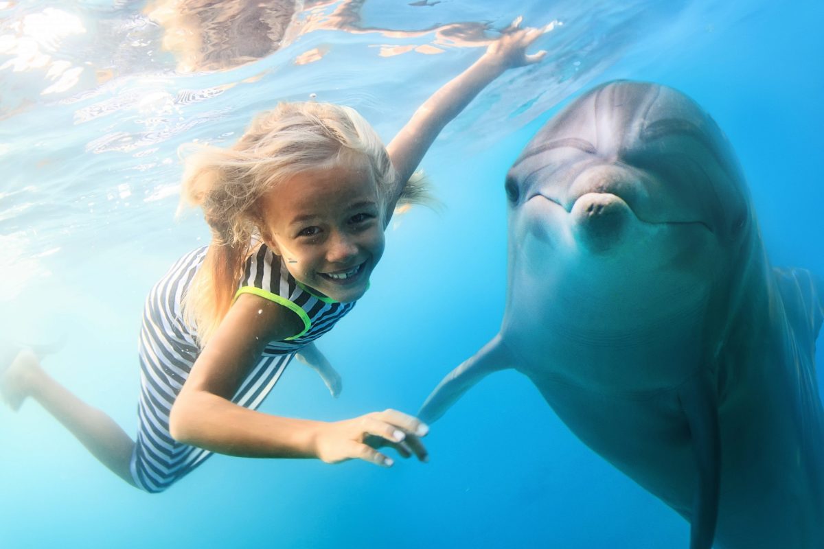 Belek Dolphin Show Tour