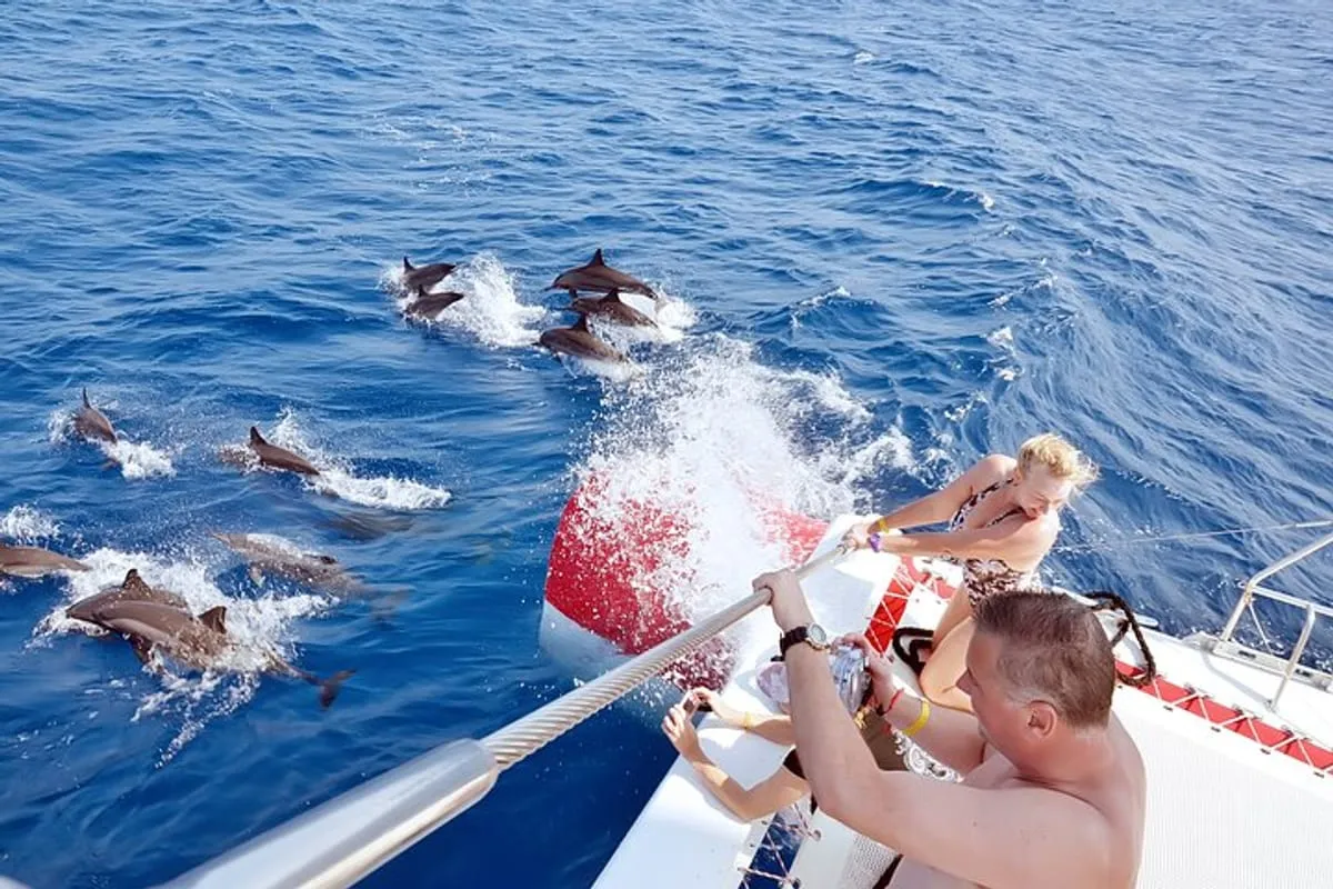 🐬 Boat trip to Dolphin House From Sahl Hasheesh 
