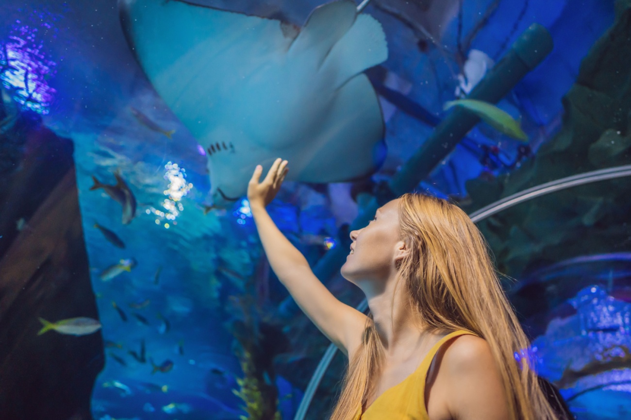 🐠 Hurghada Grand Aquarium Tour