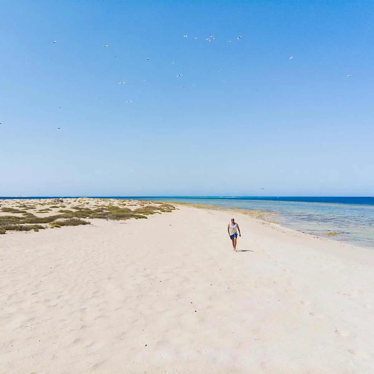 🏝 Hamata Islands Boat trip from Marsa Alam - image 6