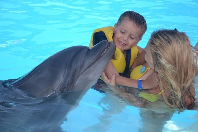 Swimming with Dolphins in Sharm El Sheikh - image 3
