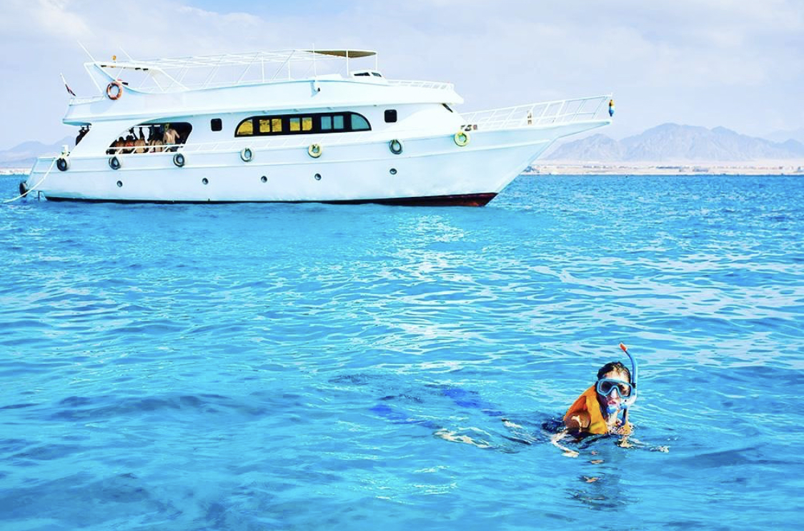 🐬 Boat trip to Dolphin House From Hurghada  - image 4
