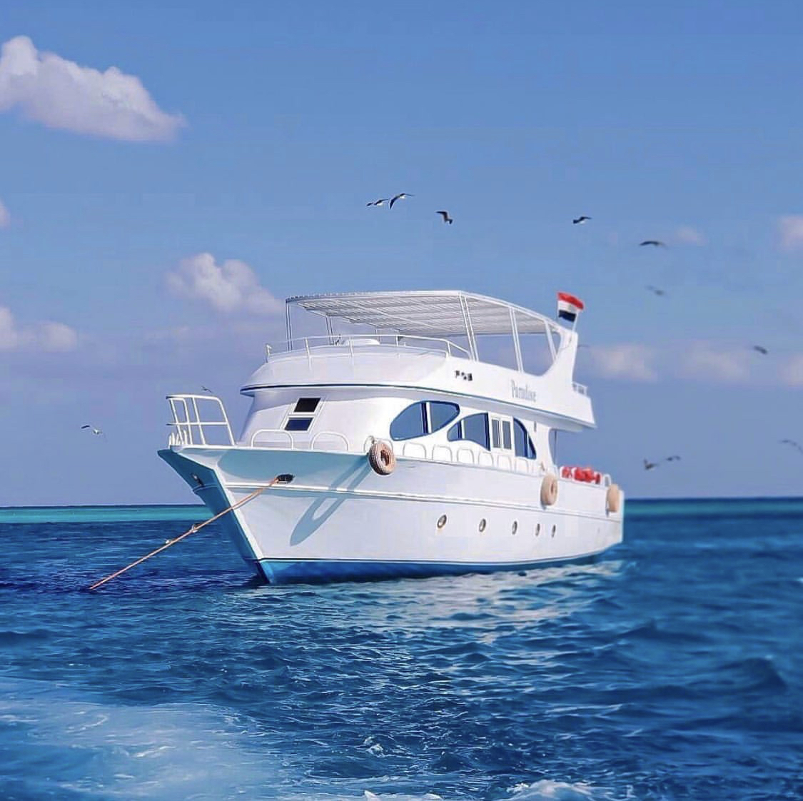 All-Inclusive Sea Trip from Safaga