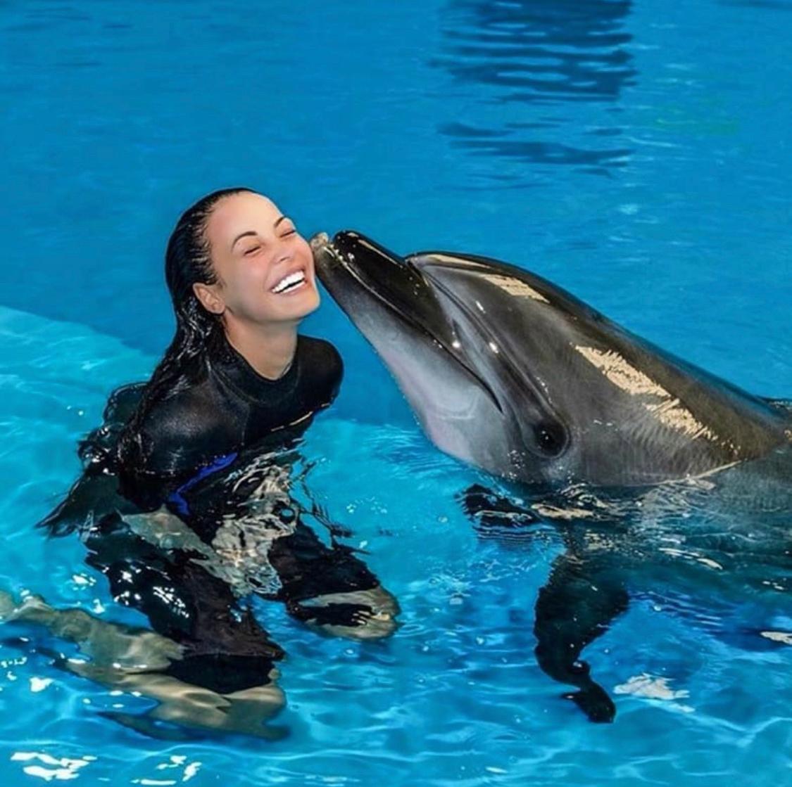 Swimming with Dolphins in Sharm El Sheikh - image 4
