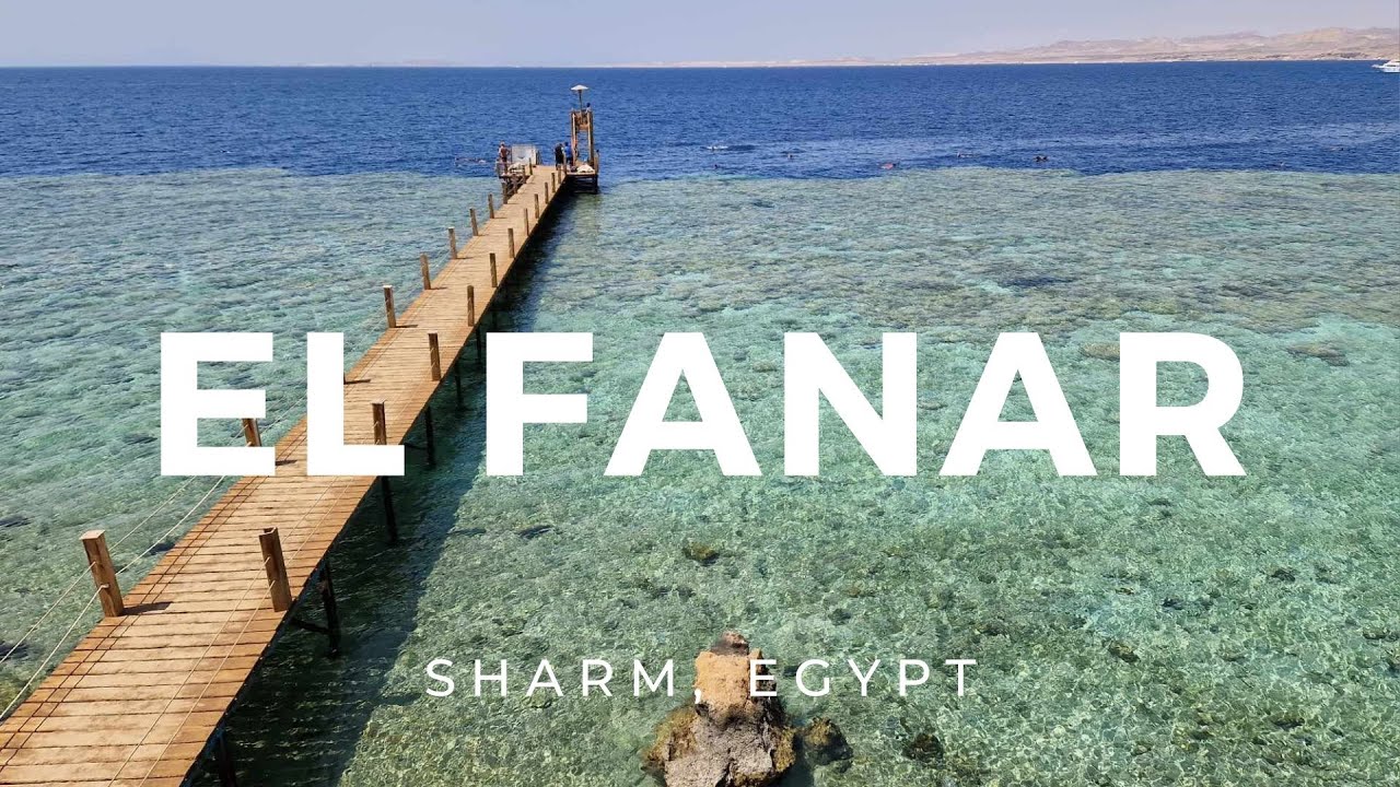 🤿 Shore Diving in Sharm El Sheikh - image 6