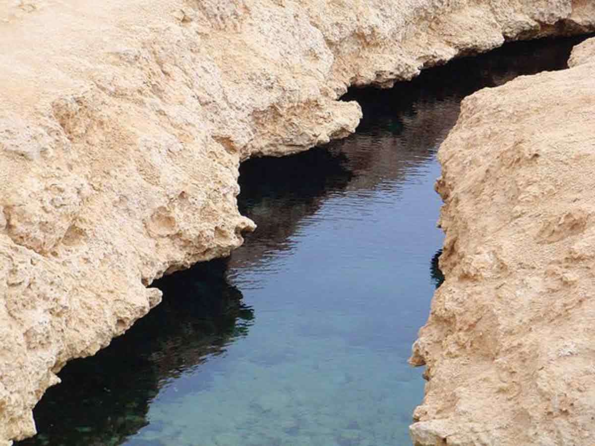 Nationa park Ras Mohamed From Dahab  - image 4