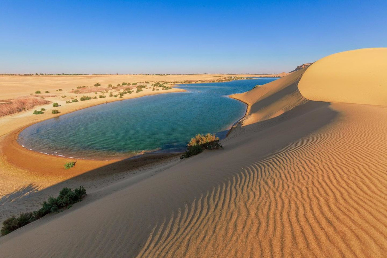 🐪 El Fayoum Oasis and the Valley of the Whales – a unique trip from Cairo