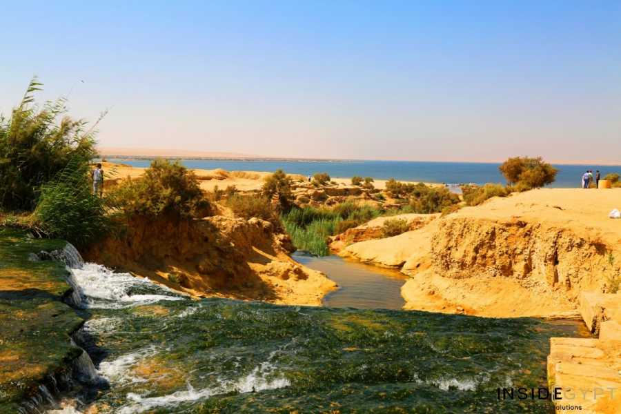 🐪 El Fayoum Oasis and the Valley of the Whales – a unique trip from Cairo - image 5
