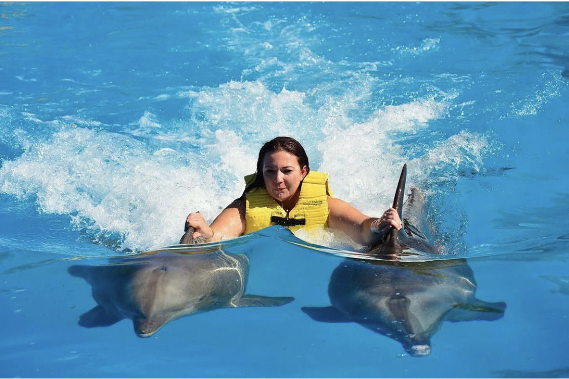 🐬 Swimming with dolphins at the Hurghada Dolphinarium is an unforgettable experience!