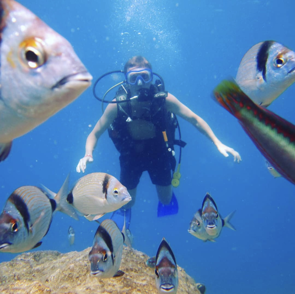 Belek: Scuba Diving with Pickup, Lunch, and 2 Dives