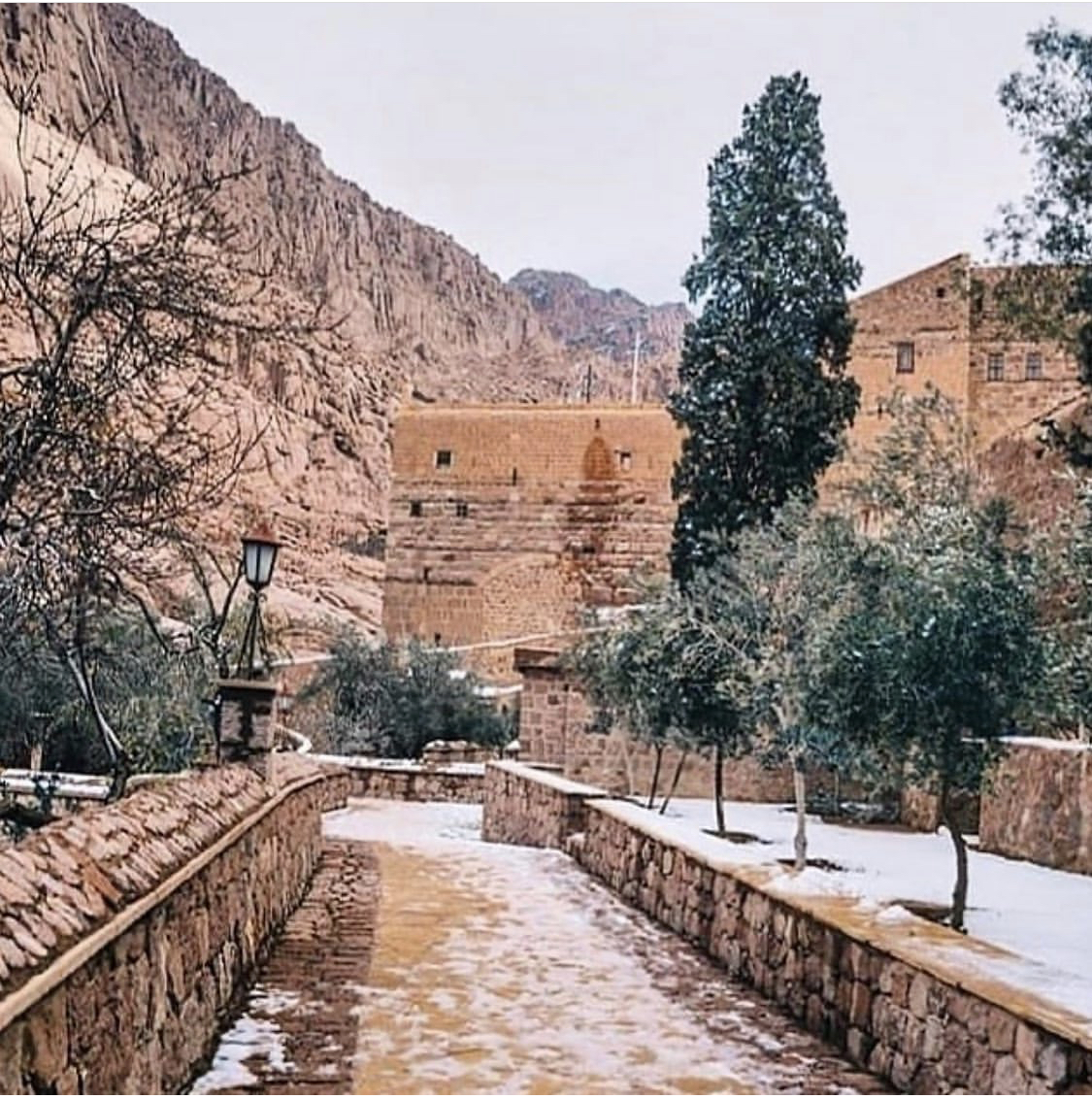 the Monastery of St. Catherine and the city of Dahab from Dahab - image 4