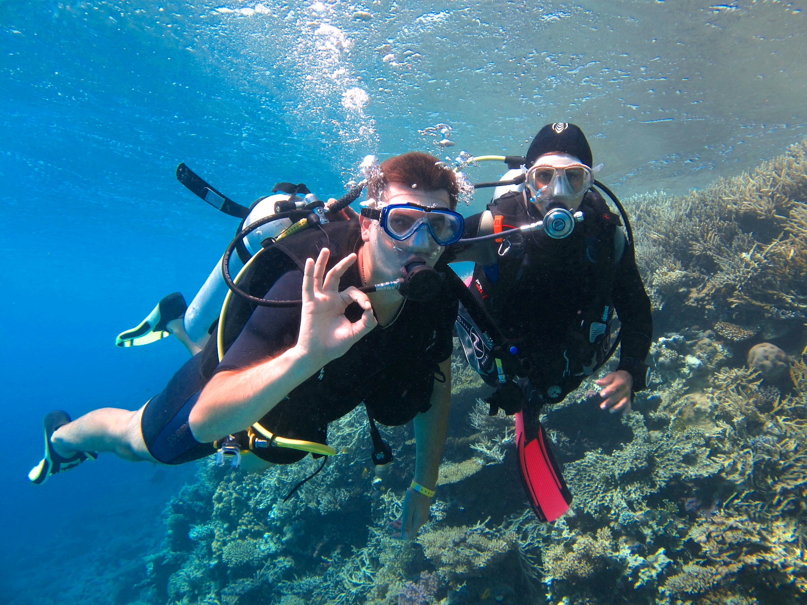 🐠 Дайвинг-тур Хургаде – откройте красоту Красного моря - image 5