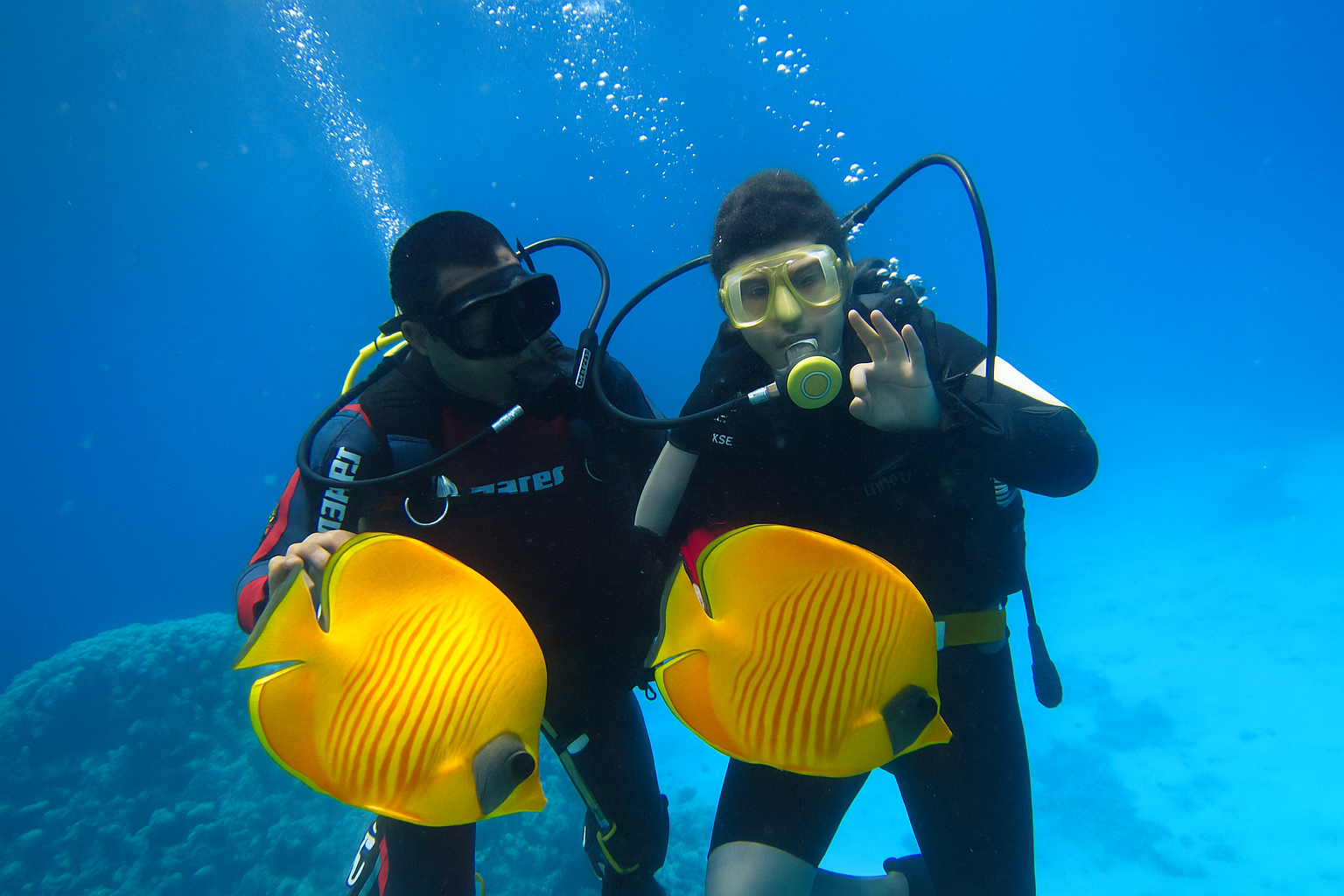 🐠 Hurghada Diving Tour – Discover the Beauty of the Red Sea - image 3