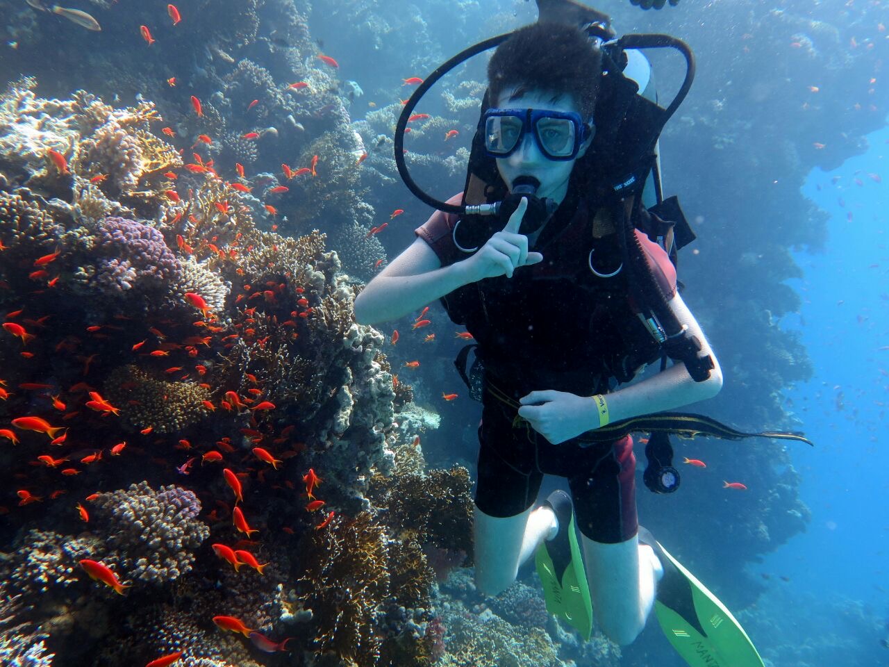 ⛰️ 🌊 Sharm el-Sheikh Mountains and Sea: Safari + Diving in One Tour - image 5