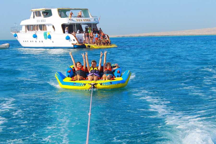 🐬 Super El Gouna and the Valley of the Dolphins - A Luxury Sea Trip to the Venice of Egypt" - image 4