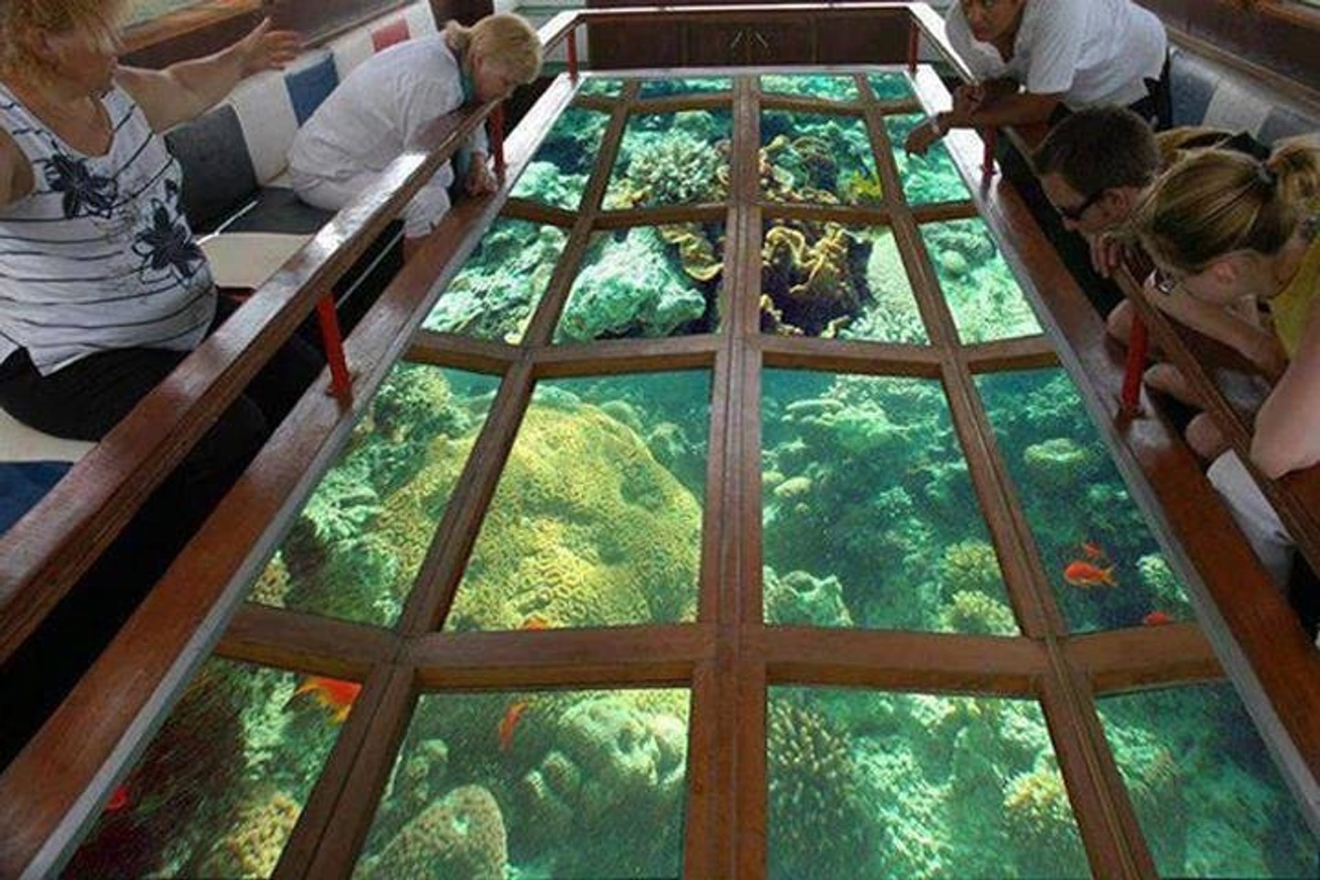 ⛴️ Glass-bottom boat tour on the Red Sea - image 6