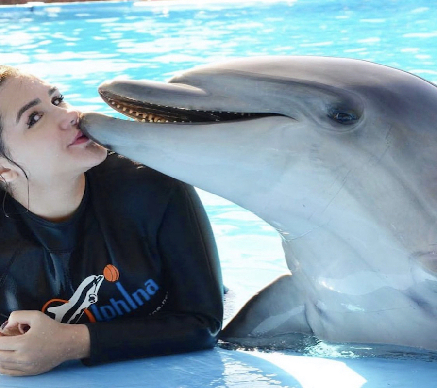 Swimming with Dolphins in Sharm El Sheikh