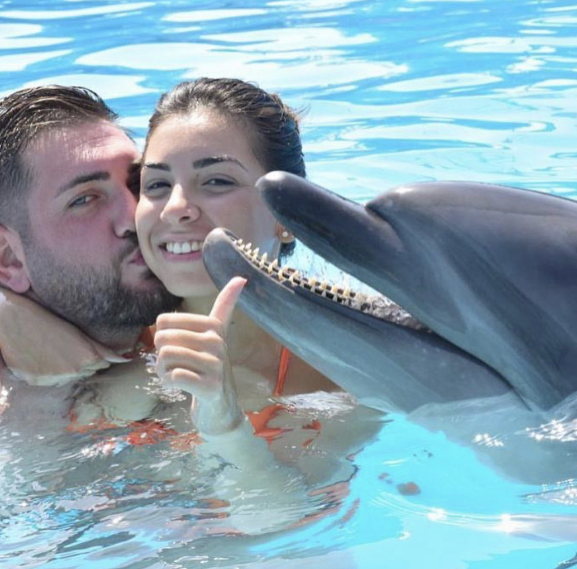 🐬 Swimming with dolphins at the Hurghada Dolphinarium is an unforgettable experience! - image 4