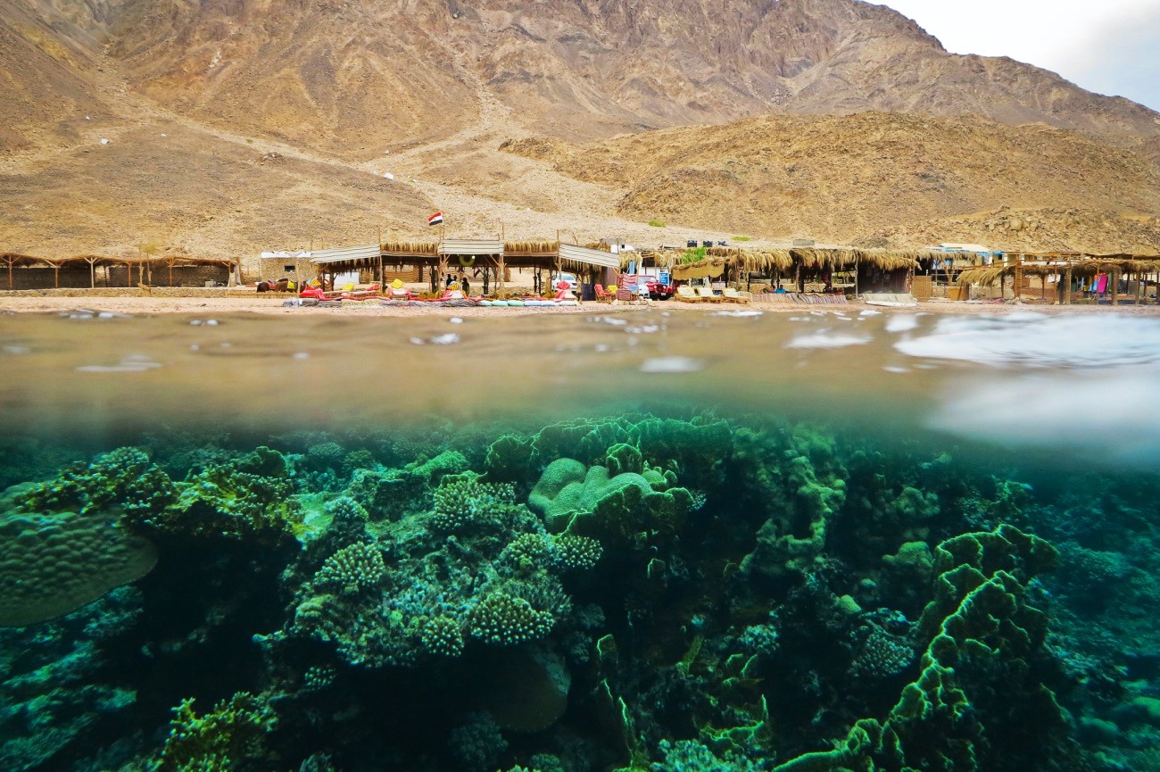 Dahab 4 in 1 from Dahab  - image 3