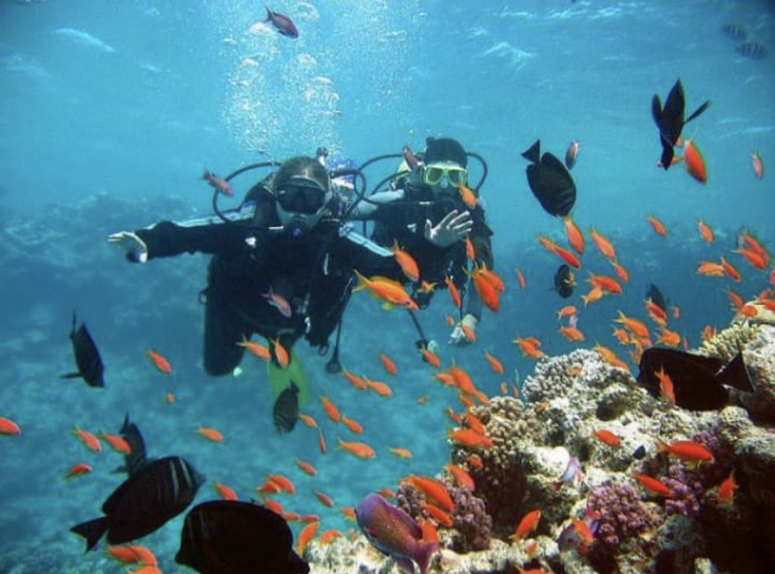 All-Inclusive Sea Trip from Sahl Hasheesh - image 4