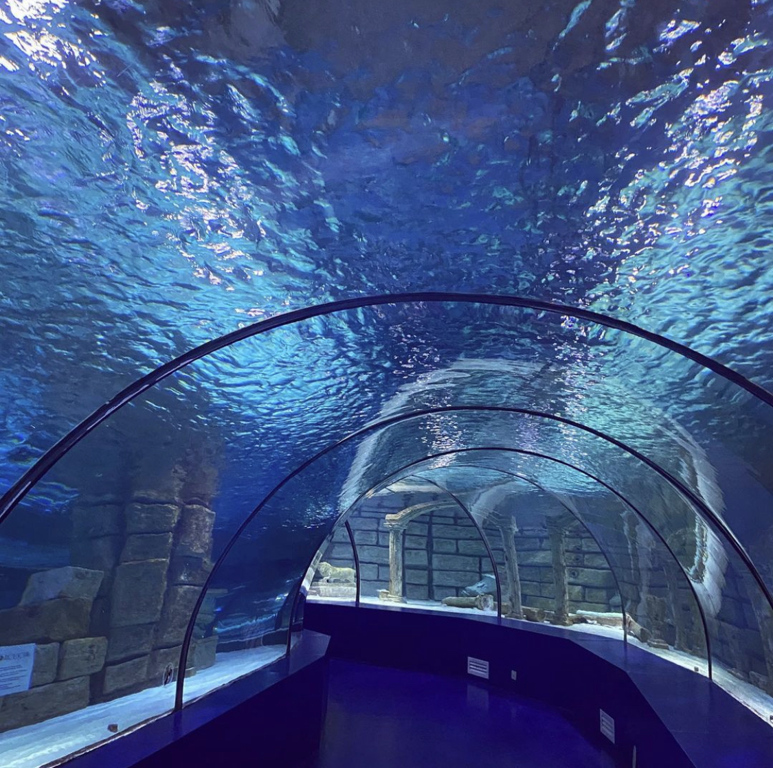 Antalya Aquarium with Entrance & Transfer from Alanya - image 6
