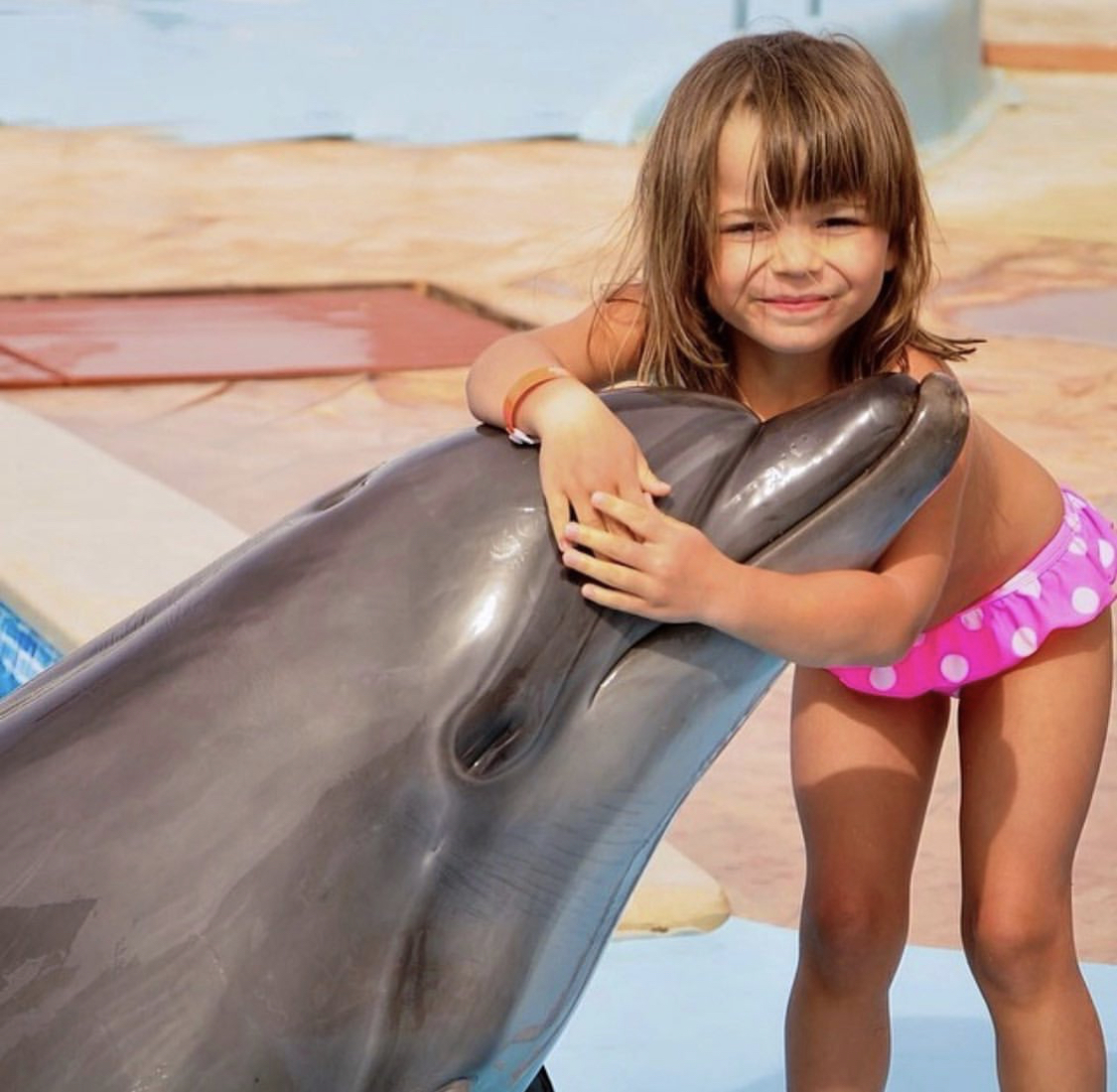 🐬 Swimming with dolphins at the Hurghada Dolphinarium is an unforgettable experience! - image 6