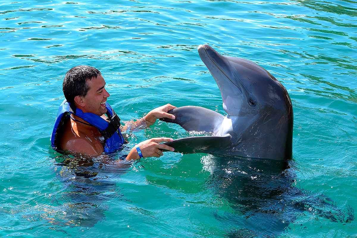 Kemer Swim With Dolphins with Transfer  - image 5