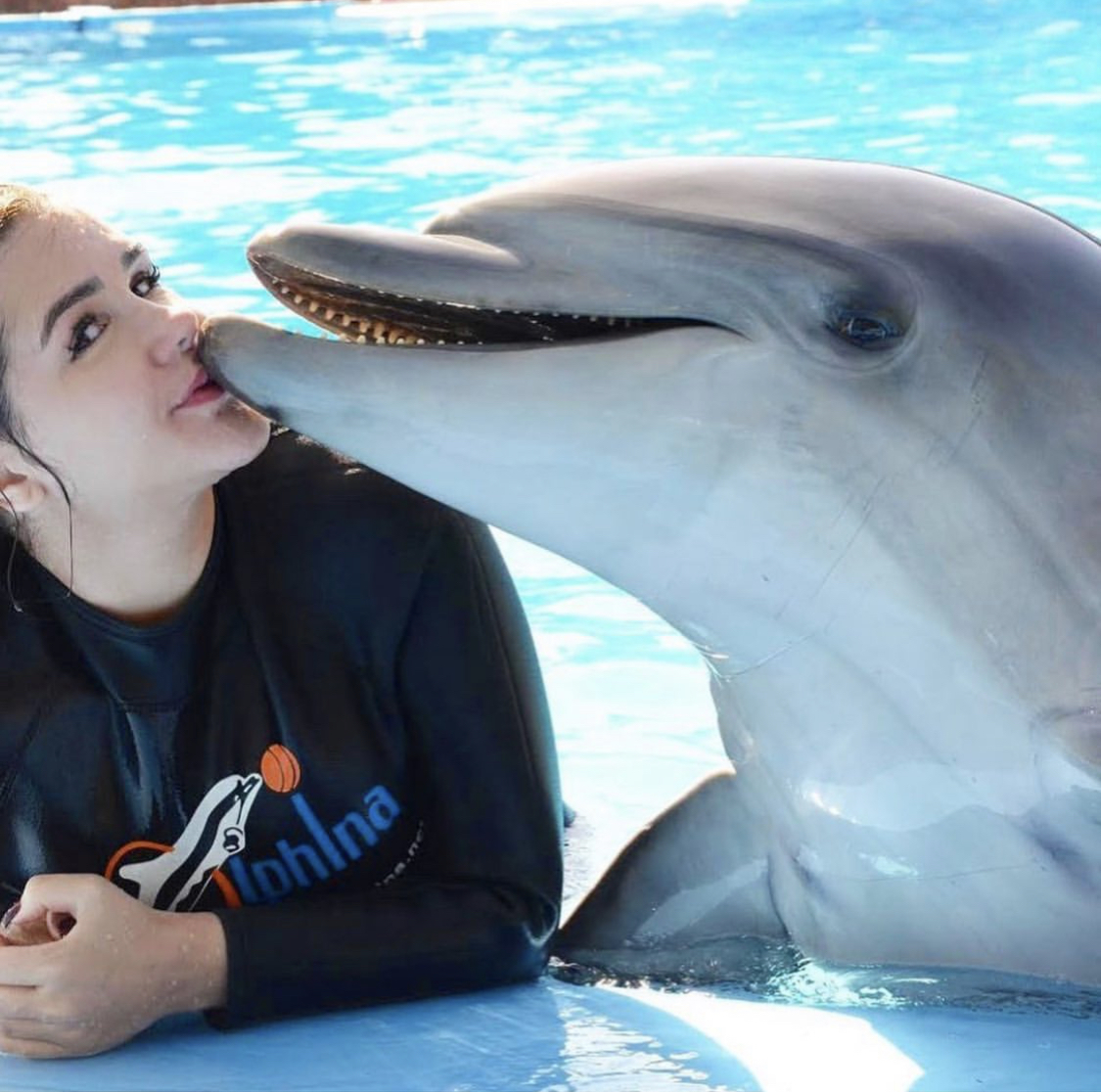 Swimming with Dolphins in Sharm El Sheikh - image 6