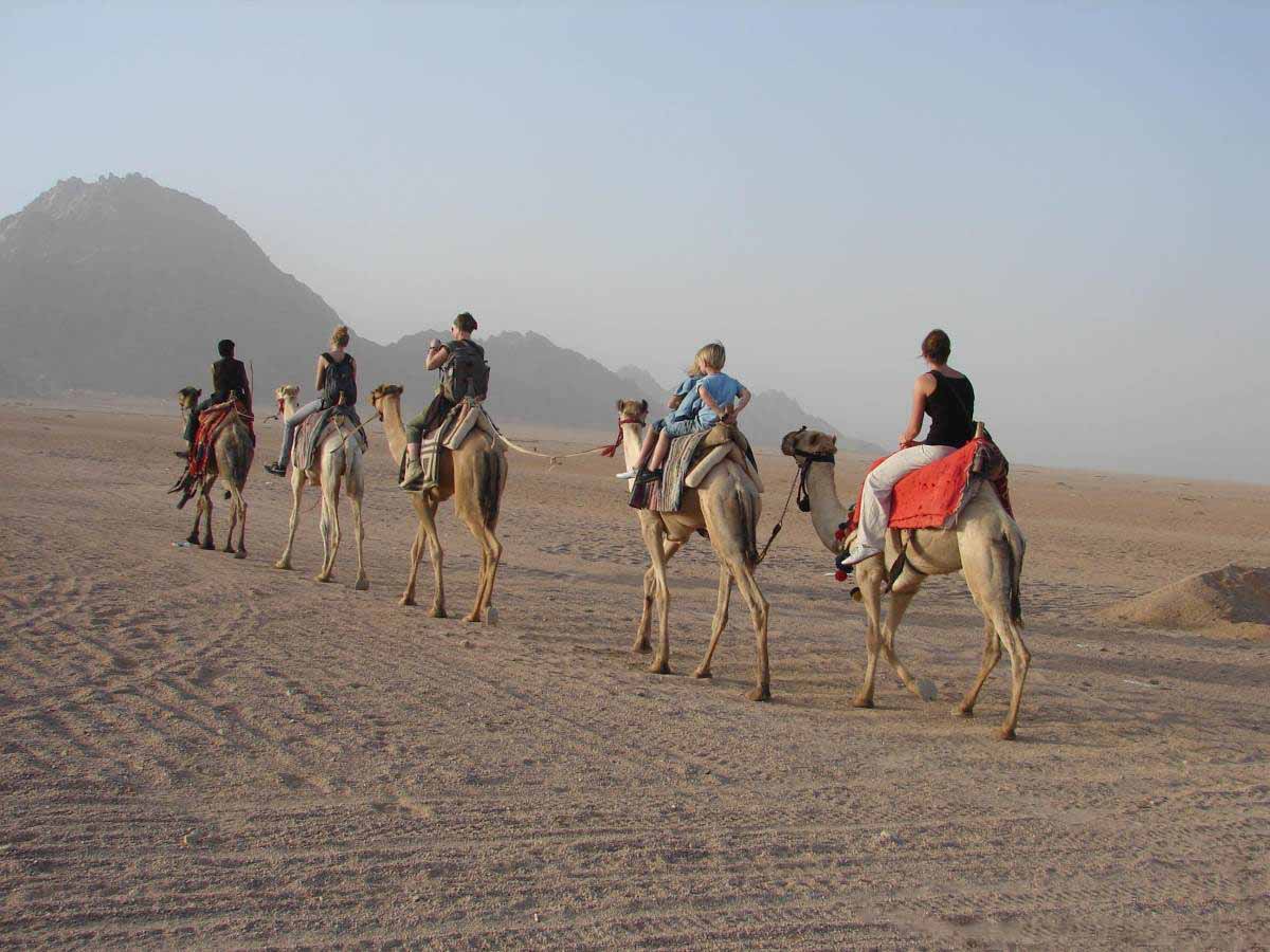 🌅 Super Safari in Hurghada - image 5