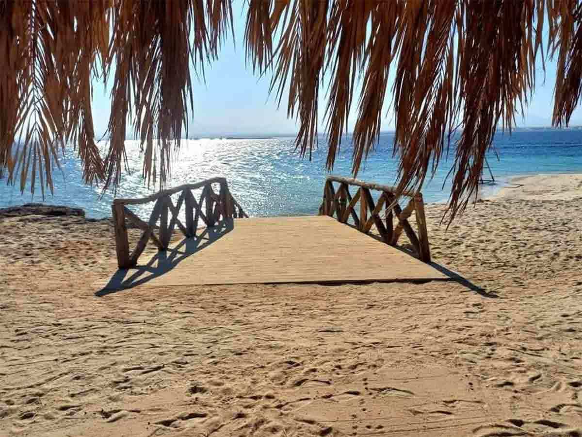 🏖️ Magawish Island  from Sahl Hasheesh - image 3