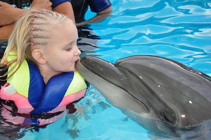 Swimming with Dolphins in Sharm El Sheikh