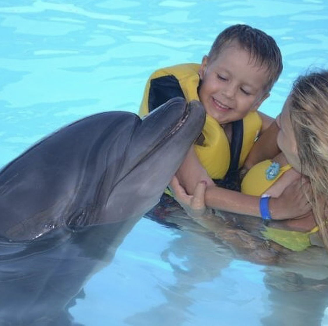🐬 Swimming with dolphins at the Hurghada Dolphinarium is an unforgettable experience! - image 5
