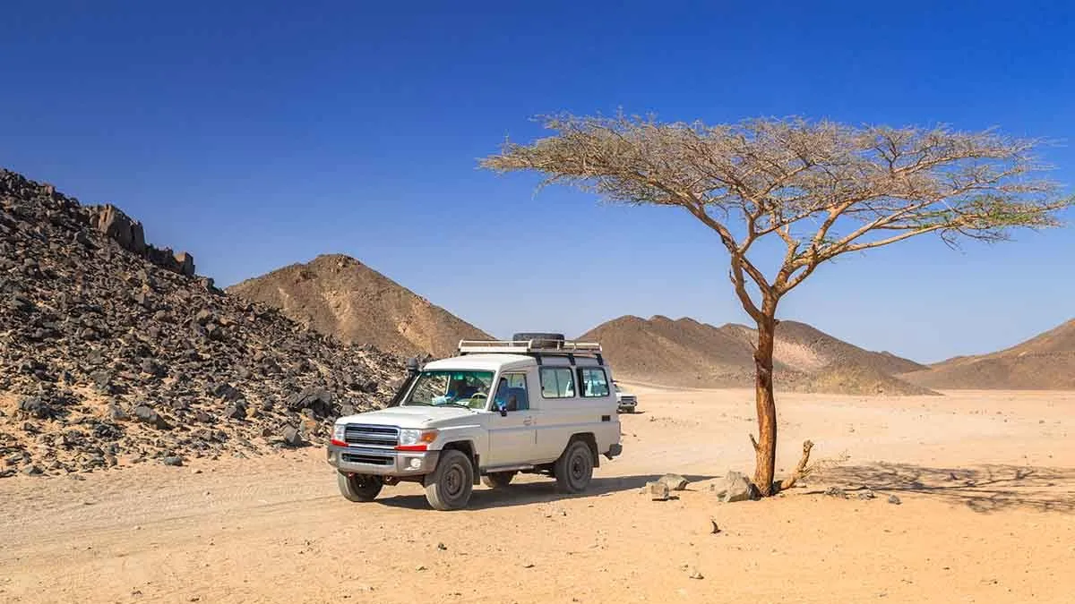 Jeep Safari Adventure from Safaga - image 3