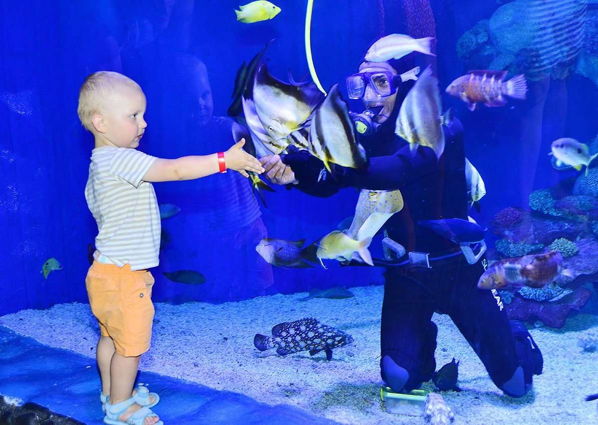 🐠 Hurghada Grand Aquarium Tour from Sahl-Hasheesh - image 4