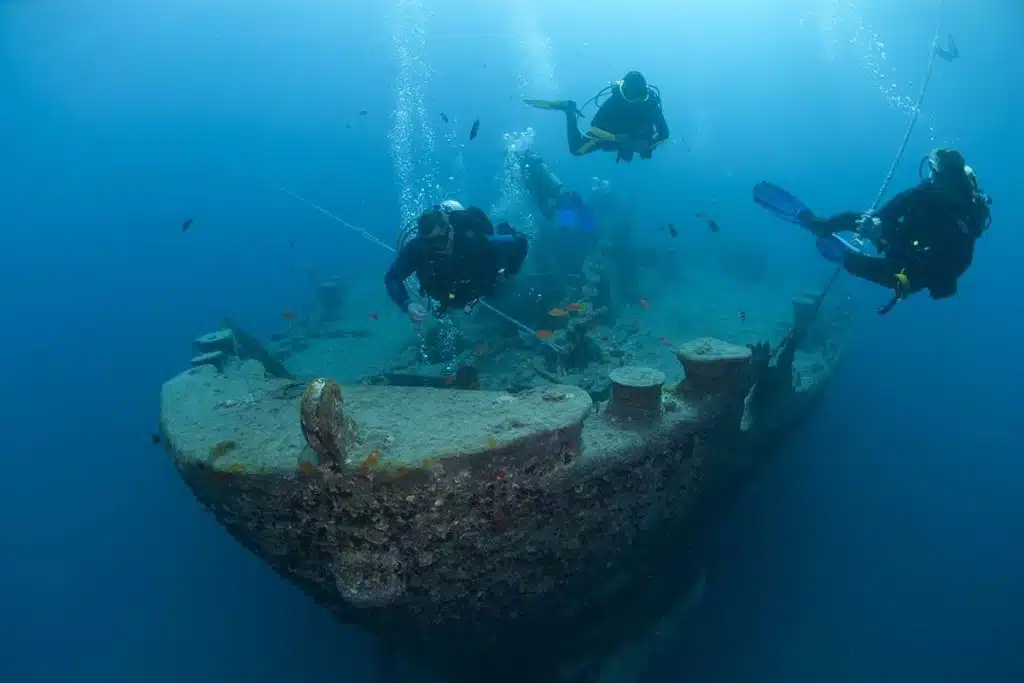🤿 Certified Diving in the Fantastic Red Sea - image 5