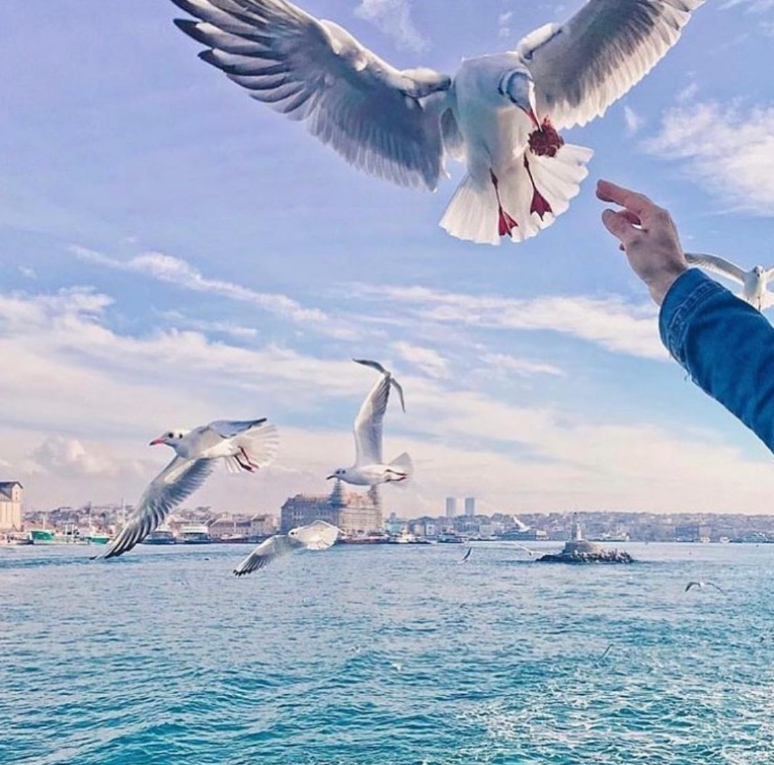 Экскурсия в Стамбул на самолете из Сиде - image 4