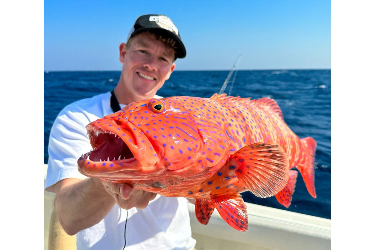 🎣🐠 Fishing, snorkeling, and Boat trip – an unforgettable day Safaga
