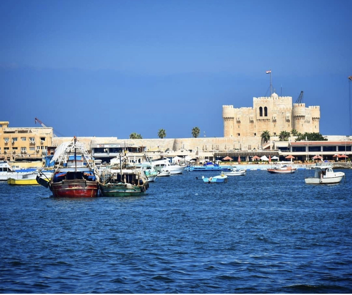 🏛️ Alexandria Tour from Cairo
