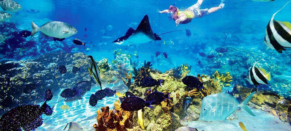 Boat trip to Tiran Island from Sharm - image 4
