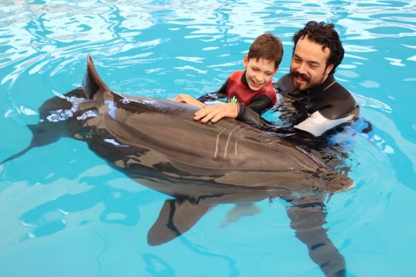 Belek Dolphin Show Tour - image 6