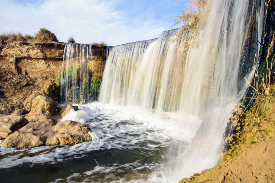 🐪 El Fayoum Oasis and the Valley of the Whales – a unique trip from Cairo - image 6