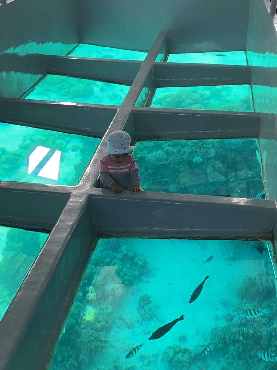 ⛴️ Glass-bottom boat tour on the Red Sea - image 5