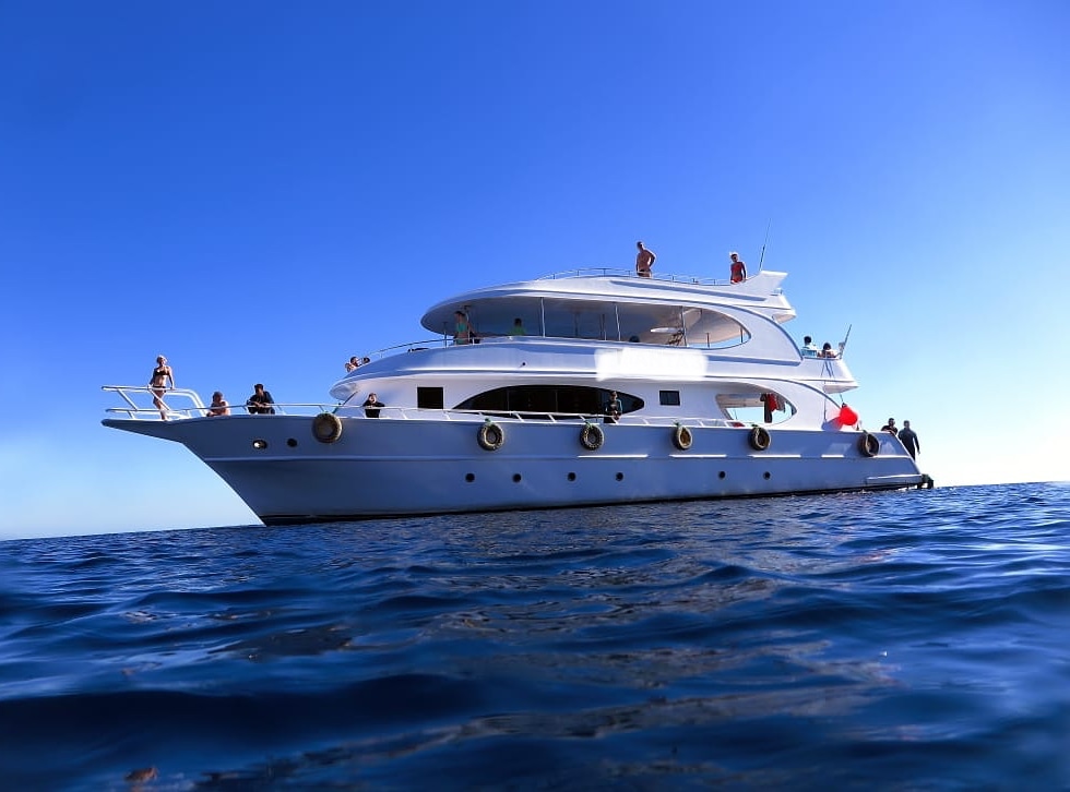 White island and Ras Mohamed Boat tour 