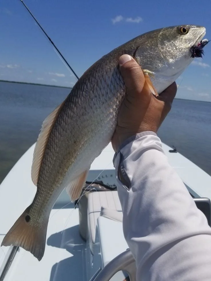 🎣🐠 Рыбалка, снорклинг и прогулка на яхте – незабываемый день в Хургаде - image 4
