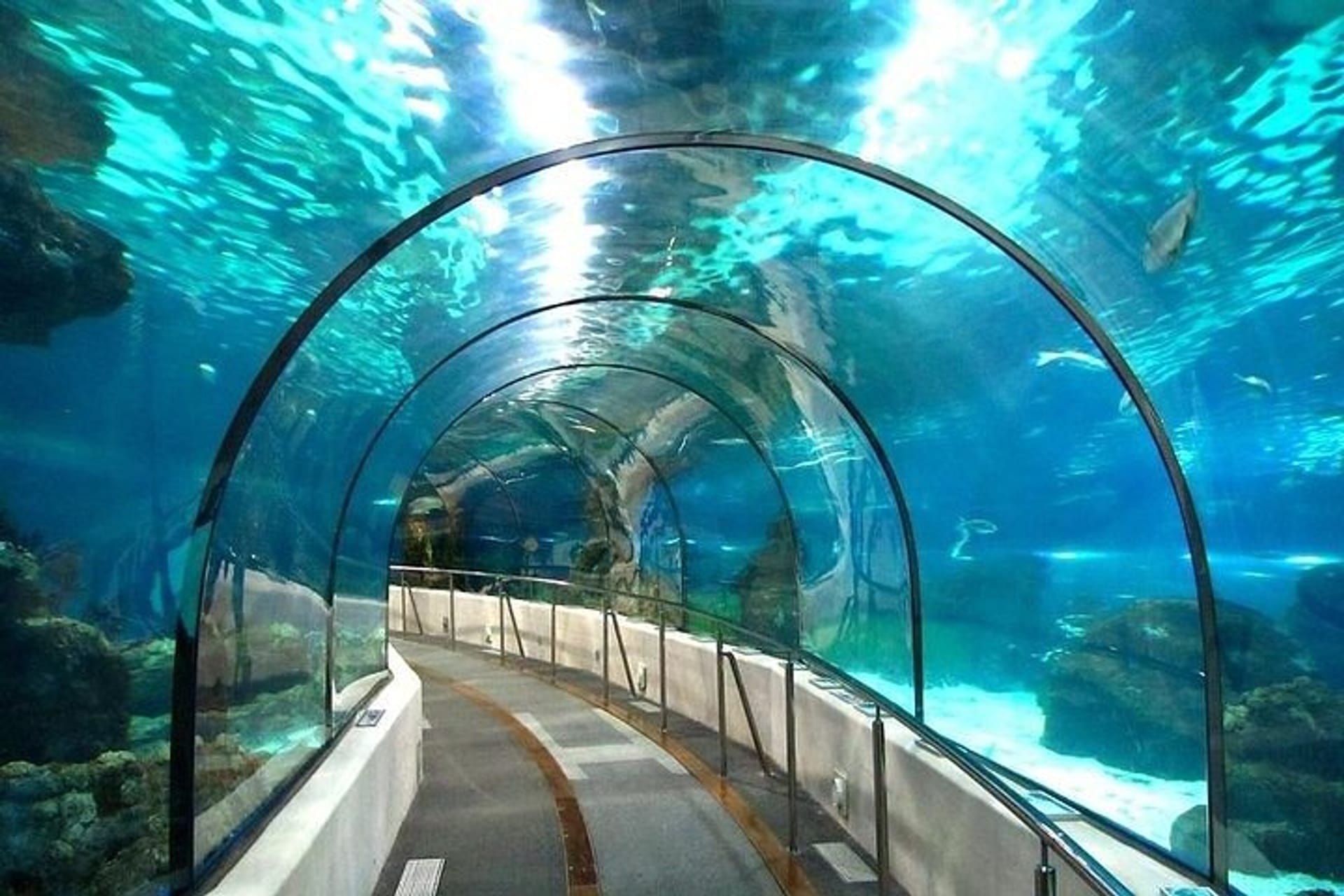 🐠 Hurghada Grand Aquarium Tour from Makadi - image 3