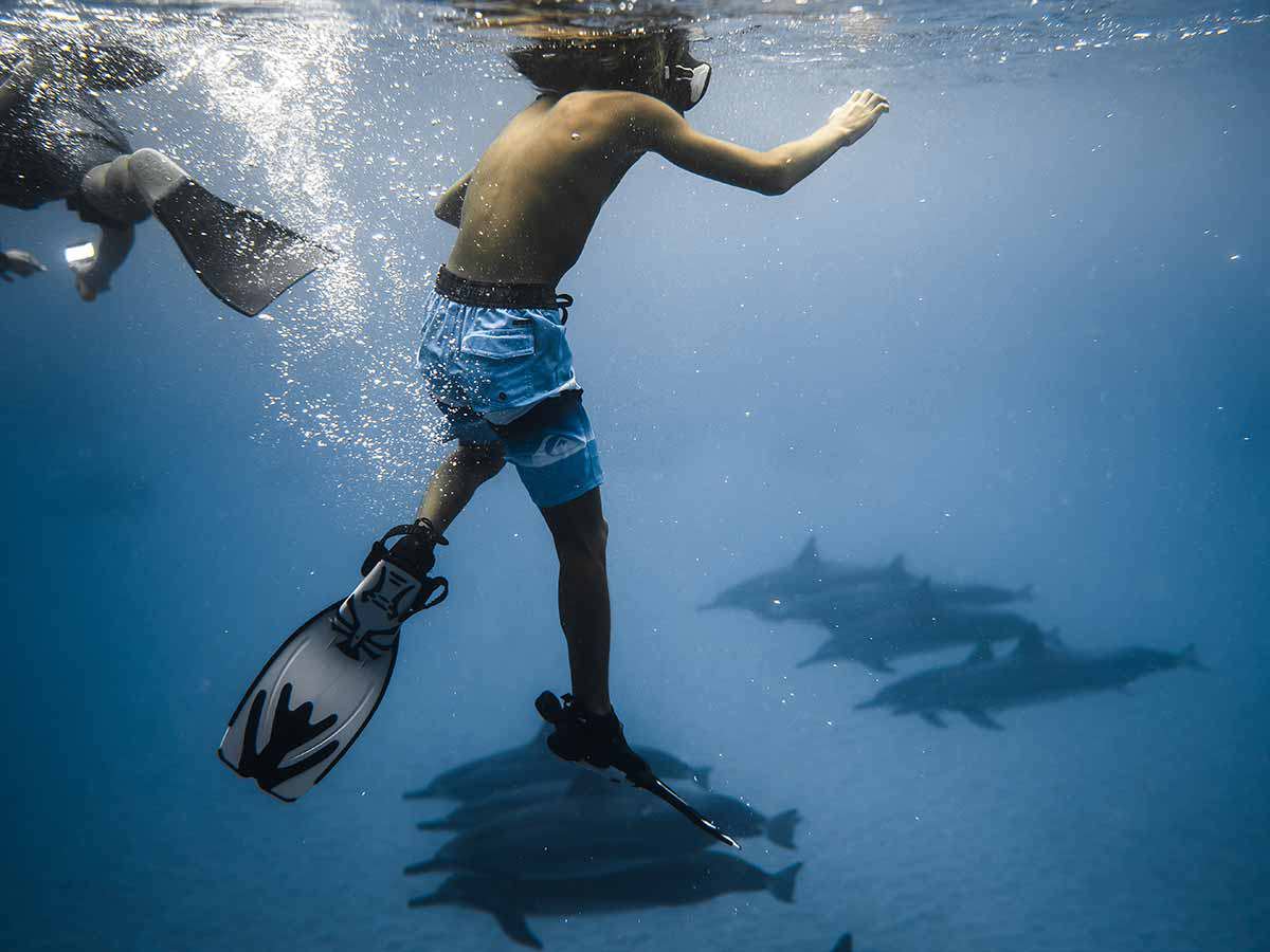 🐬 Boat trip to Dolphin House From Sahl Hasheesh  - image 4