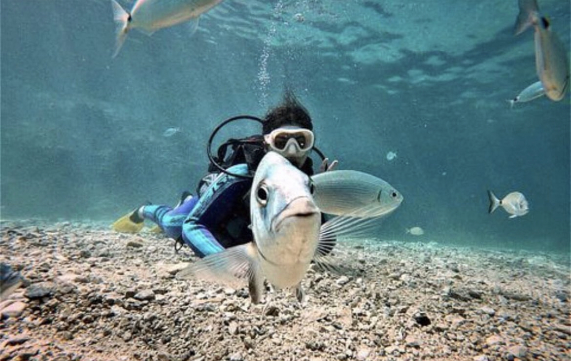 Belek: Scuba Diving with Pickup, Lunch, and 2 Dives