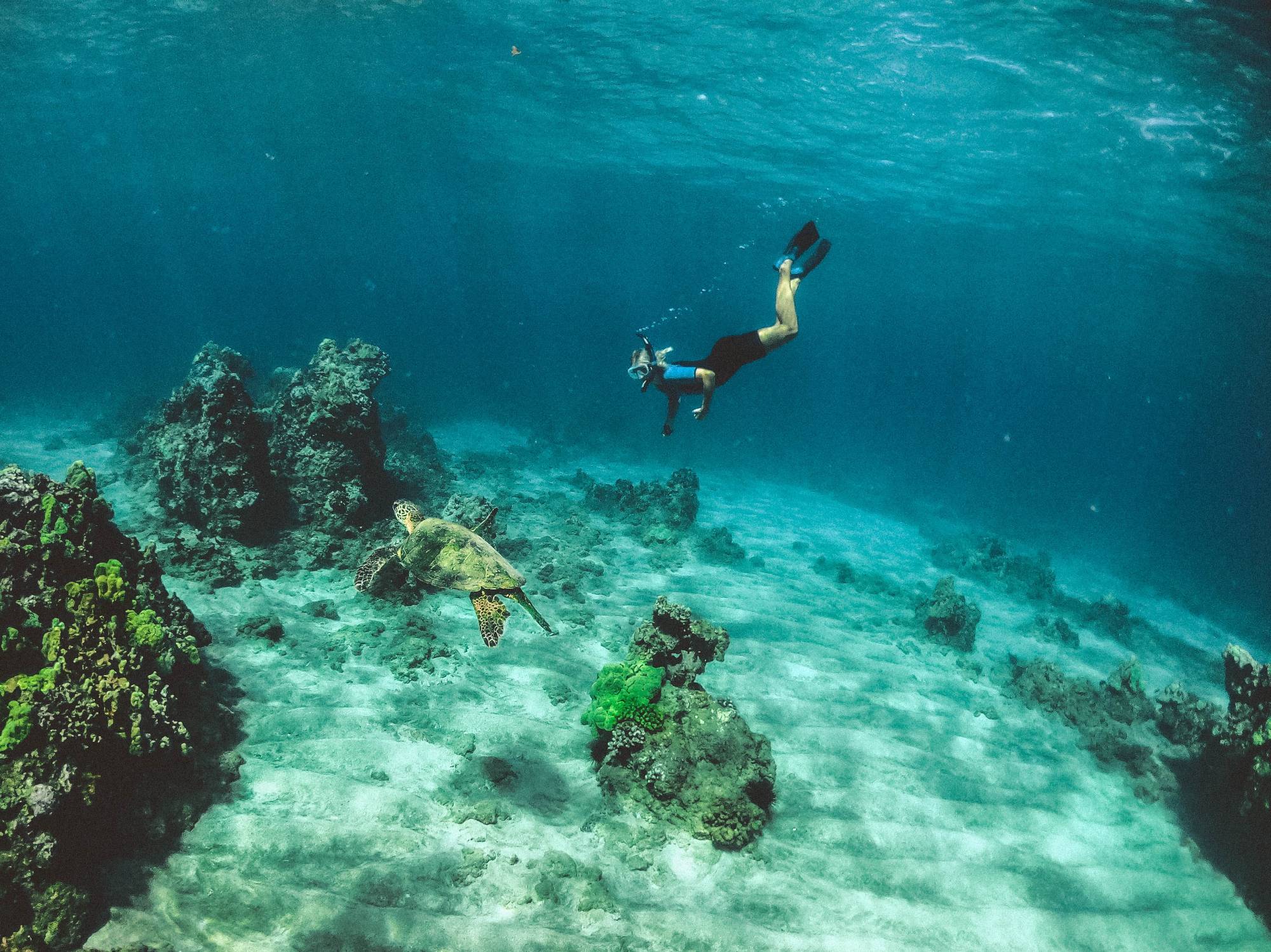 Alanya: Scuba Diving with Pickup, Lunch, and 2 Dives - image 3