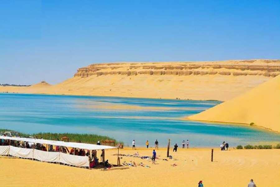 🐪 El Fayoum Oasis and the Valley of the Whales – a unique trip from Cairo - image 4